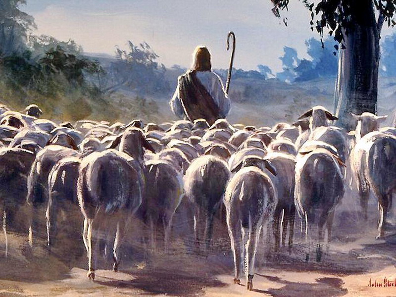 Leituras do dia  11 de maio de 2025: Domingo IV (C) da Páscoa