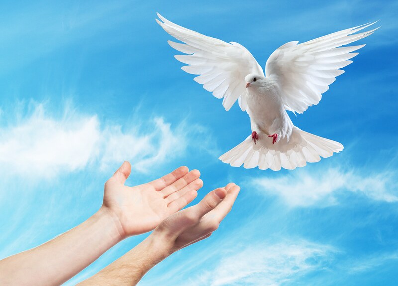 Leituras do dia  27 de maio de 2025: Terça-feira da 6 semana da Páscoa