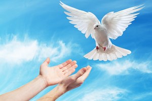 Leituras do dia  27 de maio de 2025: Terça-feira da 6 semana da Páscoa