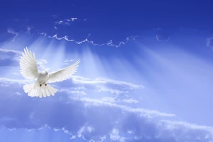 Leituras do dia  28 de maio de 2025: Quarta-feira da 6 semana da Páscoa