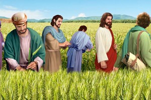 Leituras do dia  18 de julho de 2025: Sexta-feira da 15 semana do Tempo Comum