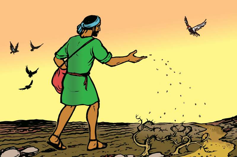 Leituras do dia  23 de julho de 2025: Quarta-feira da 16 semana do Tempo Comum