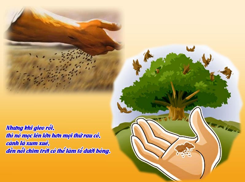 Leituras do dia  28 de julho de 2025: Segunda-feira da 17 semana do Tempo Comum