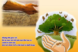 Leituras do dia  28 de julho de 2025: Segunda-feira da 17 semana do Tempo Comum