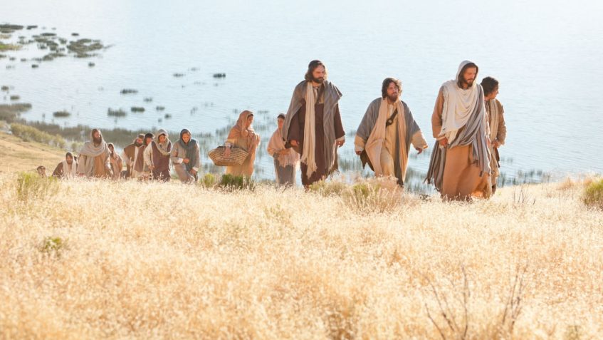 Leituras do dia  6 de julho de 2025: Domingo XIV (C) do Tempo Comum