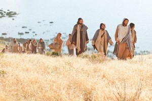 Leituras do dia  6 de julho de 2025: Domingo XIV (C) do Tempo Comum