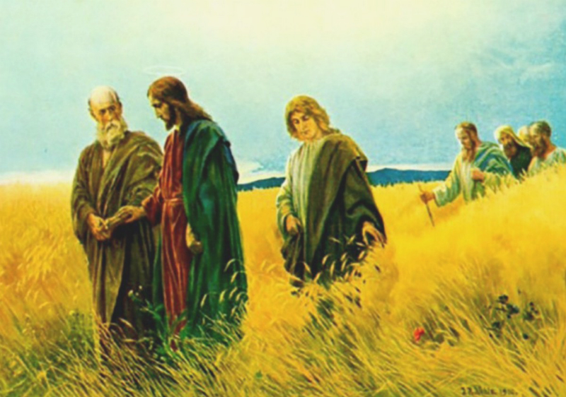 Leituras do dia  8 de julho de 2025: Terça-feira da 14 semana do Tempo Comum