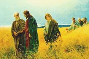 Leituras do dia  8 de julho de 2025: Terça-feira da 14 semana do Tempo Comum