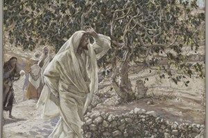 Leituras do dia  13 de setembro de 2025: Sábado XXIII do Tempo Comum