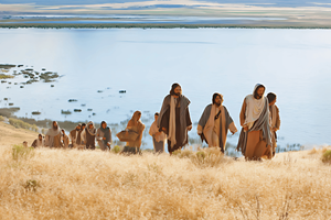 Leituras do dia  24 de setembro de 2025: Quarta-feira da 25 semana do Tempo Comum