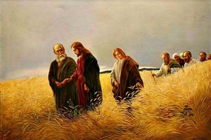 Leituras do dia  6 de setembro de 2025: Sábado XXII do Tempo Comum