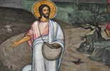 Leituras do dia  12 de julho de 2026: Tempo Comum, Domingo XV (A)