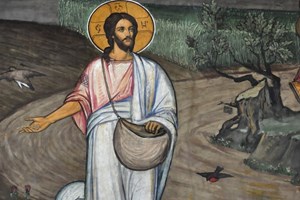 Leituras do dia  12 de julho de 2026: Tempo Comum, Domingo XV (A)